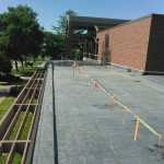Commercial roof - Wayne State