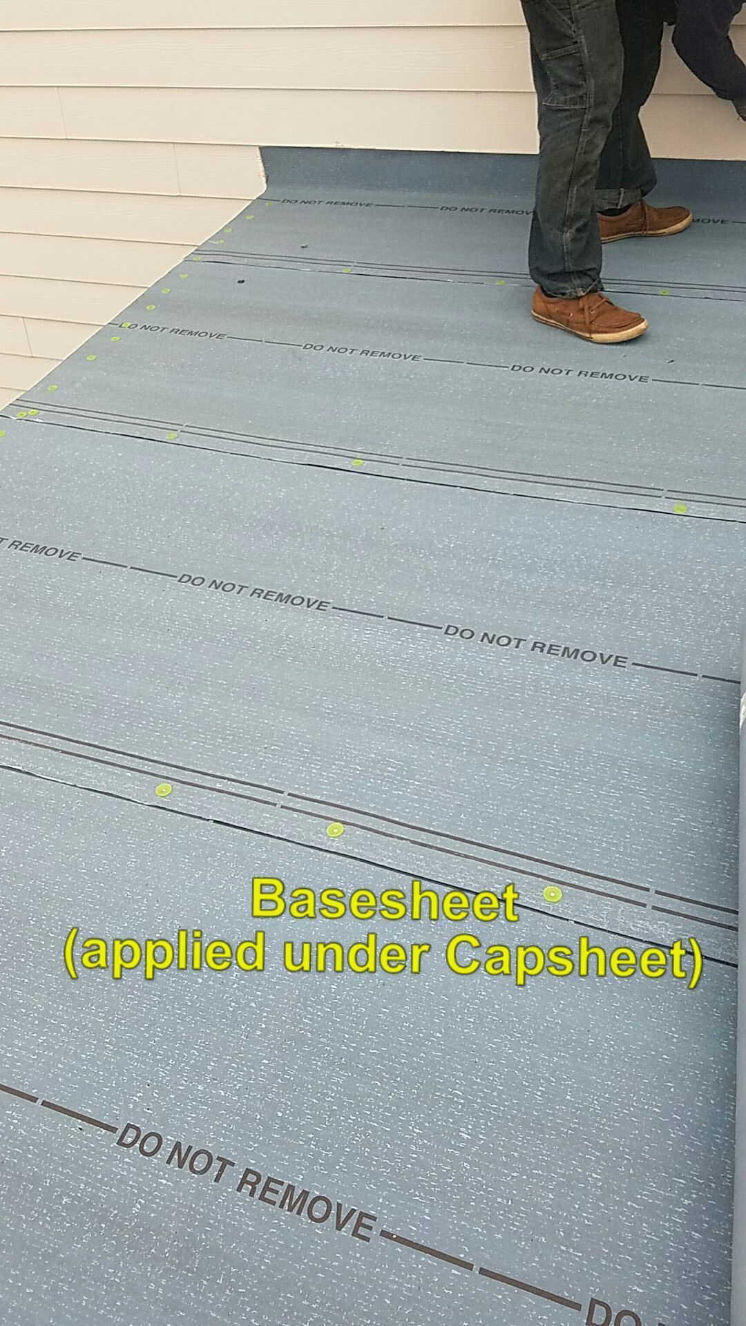 Basesheet and cap sheet